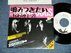 画像1: ムーンドッグス MOON DOGS - 噛みつきたい（抱きしめたい）I WANT TO HOLD YOUR PAW (I WANT TO HOLD YOUR HAND) : CAN'T BUY ME LOVE  (MINT-/MINT-)/ 1982 JAPAN ORIGINAL  Used 7" Single シングル