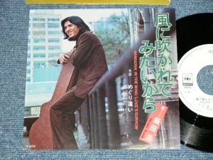 画像1: 麻田　浩 HIROSHI ASADA - 風に吹かれてみたいから WANDERLIN' IN THE WIND (MINT-/MINT-)   /  JAPAN ORIGINAL "WHITE LABEL PROMO" Used 7" Single  シングル