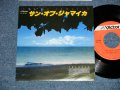 トランザムTRANZAM - サン・オブ・ジャマイカ SUN OF JAMAICA (Cover Song by GOOMBAY DANCE BAND)  ( MINT-/MINT-). / 1980 JAPAN ORIGINAL Used 7" Single 