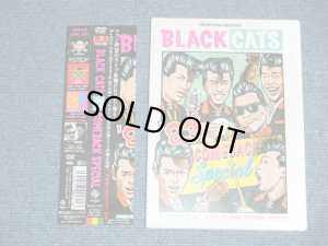 画像1: ブラック・キャッツBLACK CATS - '83 COMEBACK SPECIAL with POSTER  (MINT/MINT) / 2005 JAPAN ORIGINAL Used  DVD with OBI オビ付 