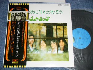 画像1: チューリップ TULIP - 君のために生まれかわろう (MINT-/MINT)  / 1970's JAPAN REISSUE  used LP With  OBI
