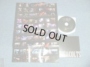 画像1: ザ・コルツ The COLTS - BEST OF THE COLTS 2000-2008 "IN HATFULOF HELL" (MINT-/MINT) / 2009 JAPAN ORIGINAL Used CD 