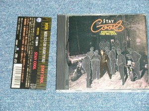 画像1: HARUYUKI "PITP" MIZUGUCHI 水口 晴幸 (クールス　COOLS) -  STAY COOL  ( MINT-/MINT) / 2004 JAPAN ORIGINAL Used CD with OBI