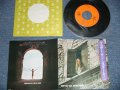 桑原一郎 ICHIRO KUWABARA - ブラザー・サン・シスター・ムーンBROTHER SUN SISTER MOON ( ドノヴァンの曲を日本語でカヴァー)( MINT/MINT )  / 1970's JAPAN ORIGINAL  Used 7" シングル Single 