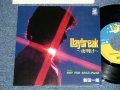 新田一郎 ヨロシクイチロー   ICHIRO "YOROSHIKU" NITTA  スペクトラム   SPECTRUM - DAYBREAK~夜明け : NOT FOR SALE-Part 2  ( Ex+++/MINT- )  / 1983 JAPAN ORIGINAL "PROMO"   Used  7" SINGLE 