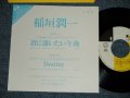 稲垣潤一 JUNICHI INAGAKI - 君に逢いたい午後　:Destiny (Ex++＋/MINT- WOFC) / 1989 JAPAN ORIGINAL "PROMO ONLY" Used 7"Single