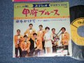 A) ダニー飯田とパラダイス・キング DANNY IIDA and PARADISE KING - 甲府ブルース KOFU BLUES ( Ex++/MINT-) / 1968  JAPAN ORIGINAL Used 7"  Single シングル