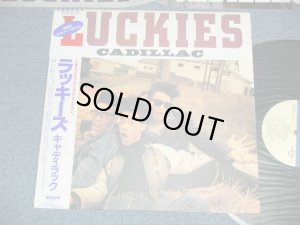 画像1: キャディラック CADILLAC - ラッキーズLUCKIES ( Ex++/MINT-) / 1986 JAPAN ORIGINAL  Used LP with OBI 