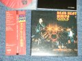 クールス・ロカビリー・クラブ COOLS ROCKABILLY CLUB - DEAD HEAT HIBIYA (Ex+++/MINT) / 2002 JAPAN ORIGINAL MINI-LP PAPER SLEEVE 紙ジャケUsed CD with OBI 