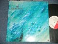 ルースターズ The ROOSTERZ - PHY　(MINT-/.MINT)　 / 1984 JAPAN ORIGINAL   Used LP