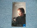 グレース安里 GRACE ANRI -  雨のしのび逢い(Ex++/Ex ++ STOFC,STOBC,, SCRATCHES) / 2000  JAPAN ORIGINAL 3" 8cm CD Single 