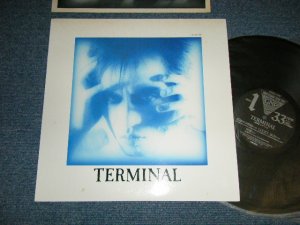 画像1: 遠藤ミチロウ MICHIRO ENDO( ザ・スターリン The STALIN )  - TERMINAL  (MINT/MINT)  / 1988 JAPAN ORIGINAL Used LP 