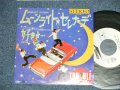 トラブル TROUBLE - ムーンライト・セレナーデ MOONLIGHT SERENADE (Ex++/MINT  BB for PROMO )/ 1984 JAPAN ORIGINAL Used  7"Single