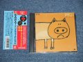PYG ( 沢田研二 &　萩原健一 KENJI 'JULIE' SAWADA &  KENICHI HAGIWARA )  - PYG! ( ORIGINAL FIRST ALBUM ) (MINT/MIN) / 1989 JAPAN Used  CD  with OBI 