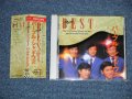 パープル・シャドウズ PURPLE SHADOWS -   NEW BEST  (MINT-/MINT) / 1993 JAPAN Used CD  with OBI    