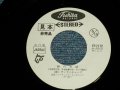 ランチャーズ THE LAUNCHERS -  マドレーヌ MADLENNE (non /MINT- STOFC ) / 1960's JAPAN ORIGINAL "WHITE LABEL PROMO" Used 7" Single 
