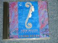 大貫妙子 TAEKO OHNUKI - NEW MOON ( MINT/MINT)  / 1990 JAPAN ORIGINAL Used CD