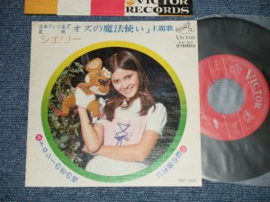 画像1: シェリー SHERRY - ドロシーの恋の唄：虹の彼方に「オズの魔法使い」( Ex++/Ex+++)  / 1974 JAPAN ORIGINAL  Used 7" Single