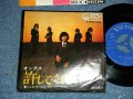 オックス OX - 許しておくれ：ジャスト・ア・リトル・ラブ( Ex+/Ex+++ ) /  JAPAN ORIGINAL  Used 7" Single シングル