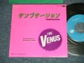 VENUS ヴィーナス　- テンプテーション：キサス DE キサス (MINT-//MINT )  / 1982 JAPAN ORIGINAL Used  7"SingleMINT/MINT