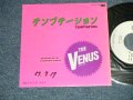 VENUS ヴィーナス　- テンプテーション：キサス DE キサス (MEx++//MINT  WOFC)  / 1982 JAPAN ORIGINAL "WHITE LABEL PROMO" Used  7"SingleMINT/MINT