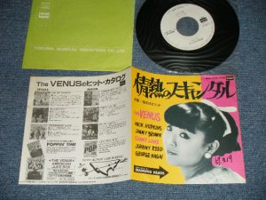画像1: VENUS ヴィーナス　- 情熱のスキャンダル：恋のスピリット(Ex++/MINT- WOFC)  / 1982 JAPAN ORIGINAL "WHITE LABEL PROMO" Used  7"Single