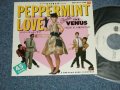 VENUS ヴィーナス　- ペパーミント・ラブ PEPPERMINT LOVE : 夢みるクリスマス (Ex++//Ex+++ STOFC)  / 1981 JAPAN ORIGINAL "WHITE LABEL PROMO" Used  7"SingleMINT/MINT