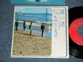 シャープ・ホークス　THE SHARP HAWKS  - 遠い渚　：いつものところで (Ex/Ex++) / 1966 Japan Original  Used 7" シングル