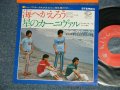 シャープ・ホークス　THE SHARP HAWKS  - 海へ帰ろう　：星のカーニヴァル (MINT-/MINT) /  JAPAN REISSUE Used 7" シングル