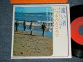 シャープ・ホークス　THE SHARP HAWKS  - 遠い渚　：いつものところで (MINT-/MINT-) /  JAPAN REISSUE Used 7" シングル