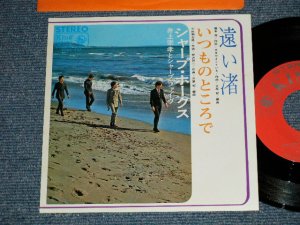 画像1: シャープ・ホークス　THE SHARP HAWKS  - 遠い渚　：いつものところで (MINT-/MINT-) /  JAPAN REISSUE Used 7" シングル