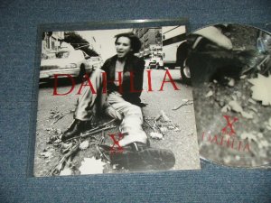 画像1: X JAPAN エックス・ジャパン - DAHLIA (MINT/MINT)  / 1996 JAPAN ORIGINAL "PICTURE DISC"  LP