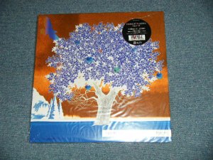 画像1: DRAGON ASH  - HARVEST REMIXES (NEW)  / 2004 JAPAN ORIGINAL "BRAND NEW"  2-LP's