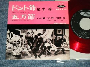 画像1: 植木　等 ・谷啓・ハナ肇 HITOSHI UEKI / KEI TANI / HAJIME HANA  - ドント節：五万節 (Ex++/Ex+++) / 1960's  JAPAN ORIGINAL "RED WAX Vinyl"  Used 7"Single 
