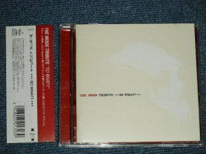 画像1: V.A. Omnibus - THE MODS TRIBUTE〜SO WHAT!! (MINT-/MINT)  / 2001 JAPAN ORIGINAL Used  CD with OBI 