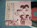A)真理ヨシコ YOSHIKO MARI - おもちゃのチャチャチャ : B) 天地總子 FUSAKO AMACHI - パパは日曜「コックさん (Ex++/Ex+++) / 1963 JAPAN ORIGINAL  Used  7"45 Single  