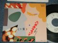 エド山口 EDO YAMAGUCHI - A) 六本木ララバイ  B).フルスロットル ( Ex++/Ex+++ WOFC)  / 1985 JAPAN ORIGINAL "WHITE LABEL PROMO" Used 7" Single - 