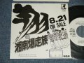 翔（横浜銀蝿） SYO - A)湘南暴走族  B) ホントはエンジェル (Ex+/MINT- STOFC) /1981 JAPAN ORIGINAL "PROMO Only" Used 7" Single