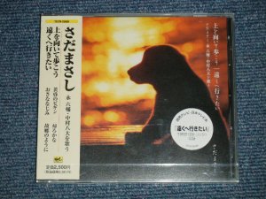 画像1: さだまさし MASASHI SADA - 上を向いて歩こう (SEALED) / 2001 JAPAN ORIGINAL "PROMO"  "BRAND NEW SEALED" CD