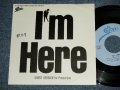 小比類巻かほる KAHORU KOHIRUIMAKI - A) I'M HERE (Promo Short Version )  B) I'M HERE (Promo Short Version ) (Ex++/MINT- WOFC)  1987 JAPAN ORIGINAL "PROMOOnly"  Used  7" Single 