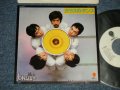 ヒカシュー HIKASHOO  - A) ガラスのダンス CRYSTAL DANCIN' B)モーニング・ウォーター MORNING WATER (Ex+++/MINT- BB hole for Promo, ) / 1982 JAPAN ORIGINAL "WHITE LABEL PROMO" Used 7"Single