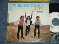 あかてん AKATEN -A) 流れ星になろう LIKE FALLING STARS 　B) 素敵な日曜日 A WONDERFUL SUNDAY (Ex+/Ex+++  WOFC)  / 1973. JAPAN ORIGINAL "WHITE LABEL PROMO" Used  7" Single 