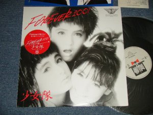 画像1: 少女隊 SHOHJO-TAI  - FOREVER 2001 (MINT-/MINT)   /  1985 JAPAN ORIGINAL  Used 12" 