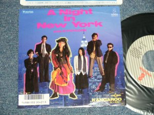 画像1: カンガルー KANGAROO  - A) A NIGHT IN NEW YORK  B) POPCORN ( Ex/MINT-) / 1985 JAPAN ORIGINAL Used 7"  Single 