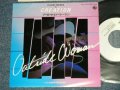 竹田和夫＆クリエイション  KAZUO TAKEDA & CREATION - A)アウトサイド・ウーマン OUTSIDE WOMAN  B)  EVERY MORNING  (Ex+++/MINT-) / 1983 JAPAN ORIGINAL "WHITE LABEL PROMO" Used  7"Single