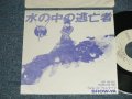 ショーヤ SHOW-YA - A) 水の中の逃亡者 B) フェルマータ (Ex+++/MINT- WOFC) / 1987 JAPAN ORIGINAL "PROMO ONLY"  Used 7" Single 