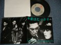 シーナ＆ザ・ロケット  ロケッツ　SHEENA & THE ROKKETS - A) 今夜はたっぷり B) プラザヘ行こう  (Ex+++/MINT)   / 19894 JAPAN ORIGINAL "PROMO" Used 7" Single  シングル