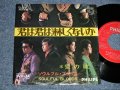 ソウルフル・ブラッズ SOULFUL BLOODS -  A) 君は君は淋しくないか B) 愛の魂 (Ex-/Ex Looks:Ex++ No Center)  /  JAPAN ORIGINAL "RED LABEL PROMO"  Used 7" Single  シングル