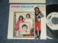 はしだのりひことエンドレス　NORIHIKO HASHIDA & ENDLESS - 初恋物語　HATSUKOI-MONOGATARI (Ex++/MINT-STAMPOFC &L)/ 1973 JAPAN ORIGINAL "WHITE LABEL PROMO" Used 7" SINGLE 