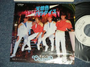 画像1: チャンプ  CHAMP  - A) 天然色パラダイス　B) トリップ・パズル (Ex+/MINT- Tape Removed )   / 1982 JAPAN ORIGINAL "WHITE LABEL PROMO"  Used  7" Single  シングル